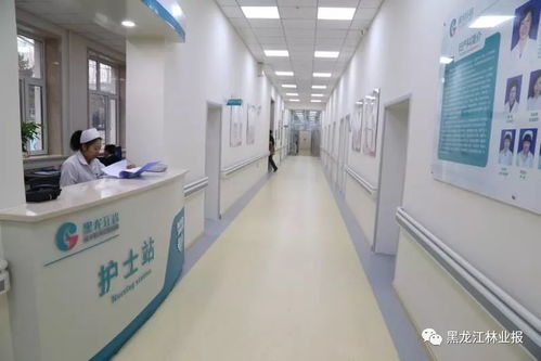 母婴的守护者 记黑龙江省红十字 森工总 医院妇产科