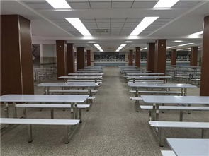 不锈钢餐桌椅,广东鸿美佳家具厂加工定制不锈钢餐桌椅,不锈钢餐桌椅,广东鸿美佳家具厂加工定制不锈钢餐桌椅生产厂家,不锈钢餐桌椅,广东鸿美佳家具厂加工定制不锈钢餐桌椅价格
