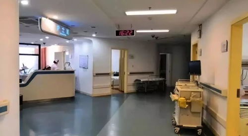 一座城市的房价,可能都藏在产房里