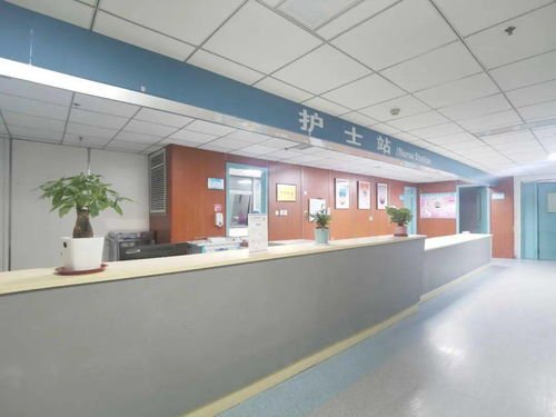 私人订制 市人民医院产科特需病房正式启用