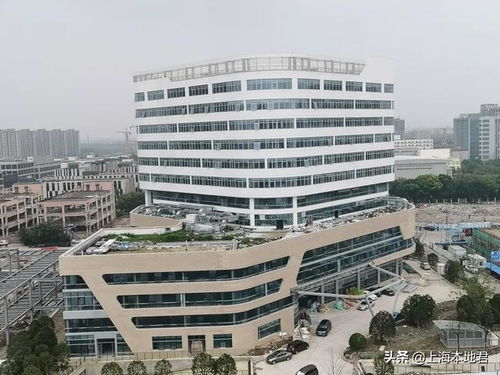 投资热区 短短6个月, 虹桥新区 新增49家总部企业
